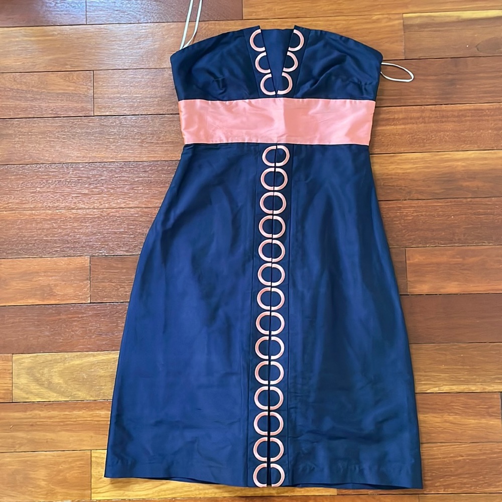 CK Bradley Blue & Pink Dress